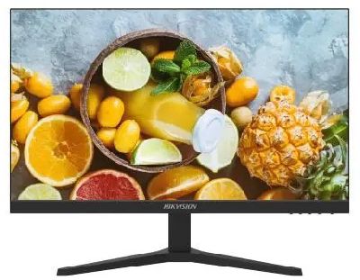 Monitor LED 18,5" Especial Seguridad