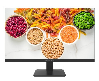 Monitor CCTV IPS 23,8" Full HD 100 Hz